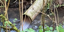 More sewage discharged into the River Wey