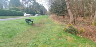 Half-mile-long wildflower verge created to boost biodiversity