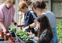 Children in Bourne ward create plant display