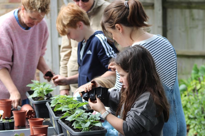 Bourne ward children planting for Farnham in Bloom
