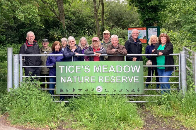 Tice's Meadow bird group walk, Farnham Walking Festival, June 2nd 2024.