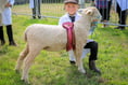 Liskeard Agricultural Show 2024