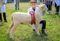 Liskeard Agricultural Show 2024