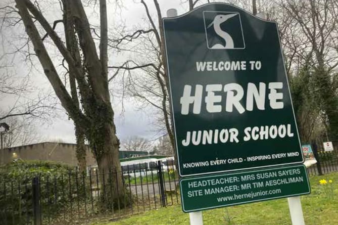 Herne Junior School Petersfield sign