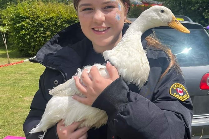 Lindford Fete Goose