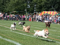 Fete and flower show at Bentley recreation ground on Saturday