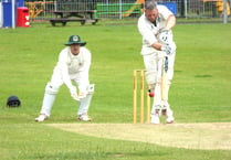 Waverley fall to seven-wicket defeat