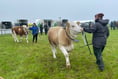 Weather doesn't dampen any sprits at Camborne Show