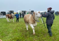 Weather doesn't dampen any sprits at Camborne Show