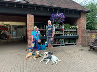 A happy tail as shoppers give generously to Guide Dogs