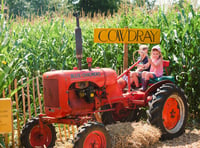 Cowdray’s Maize Maze: A must-visit summer attraction