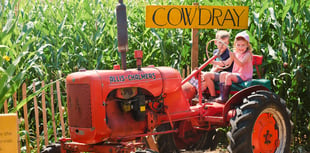 Cowdray’s Maize Maze: A must-visit summer attraction