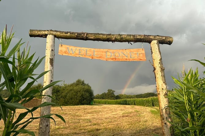 End of Cowdray's Maize Maze