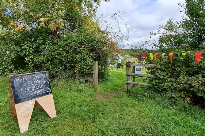 Petersfield Community Garden Artscape