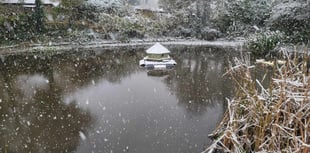 VIDEO: Snow falls in East Hampshire creating a winter wonderland