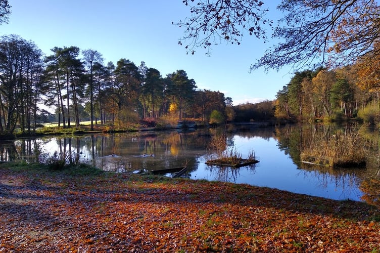 The scene which greeted the Petersfield Ramblers members on their November walk