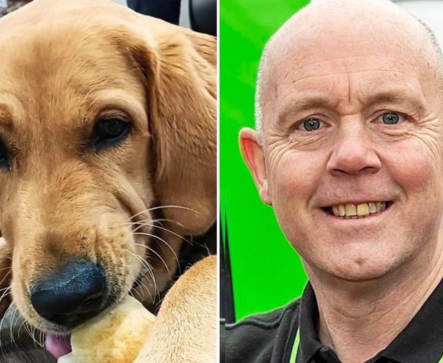 Cleaning firm founder has pedigree chum in Guide Dog Ralph