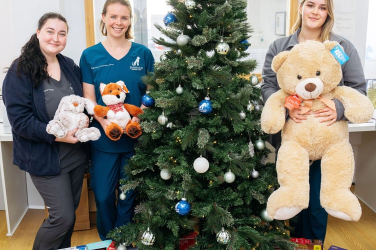 Farnham Veterinary Group Christmas Appeal