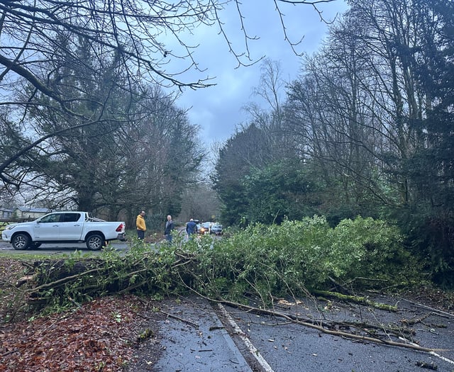 DAY TWO: Live Storm Darragh updates from Herald & Post area 