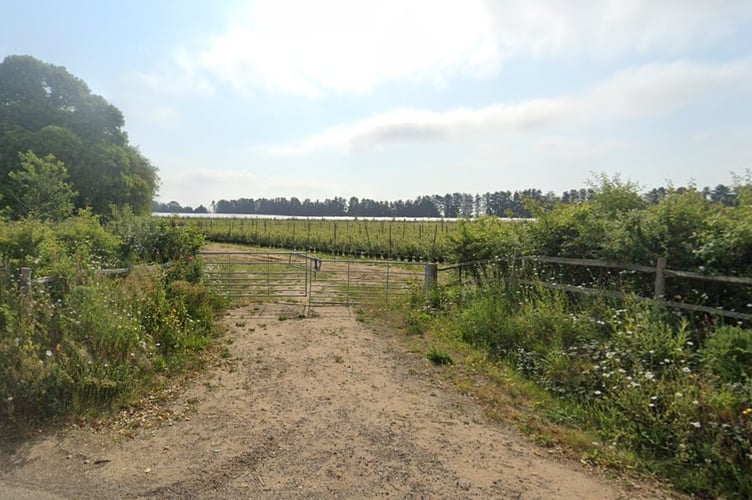 The site of the proposed sports pitches in Milford.