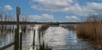 Volunteers contribute record 7,200 hours at Tice’s Meadow in 2024