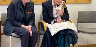 WATCH: Sophie, Duchess of Edinburgh visits Dogs for Autism charity