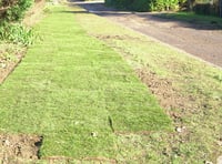 Widow's shock at sudden removal of hedge linked to late husband