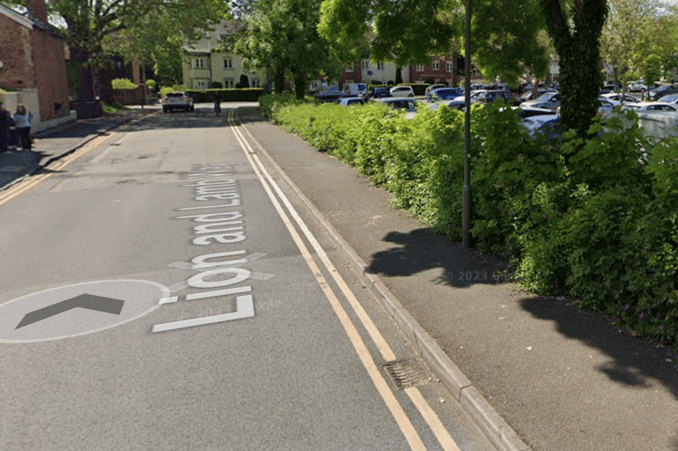 Lion and Lamb Way, Farnham